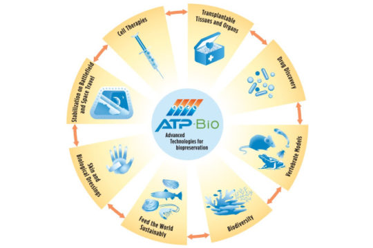Graphic showing societal impact of ATP-Bio center.