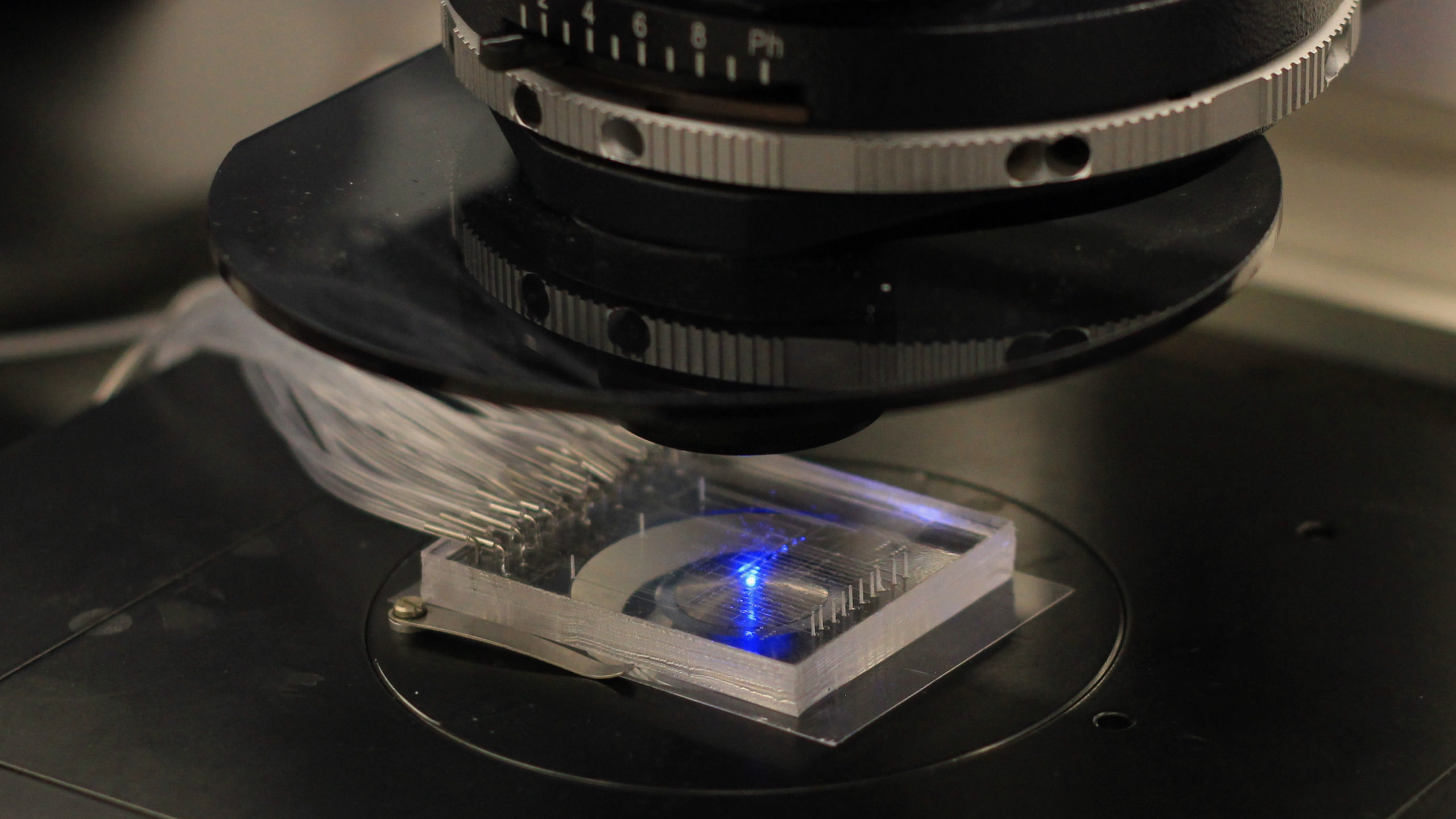 A microfluidic 'chip' on a scanning confocal microscope