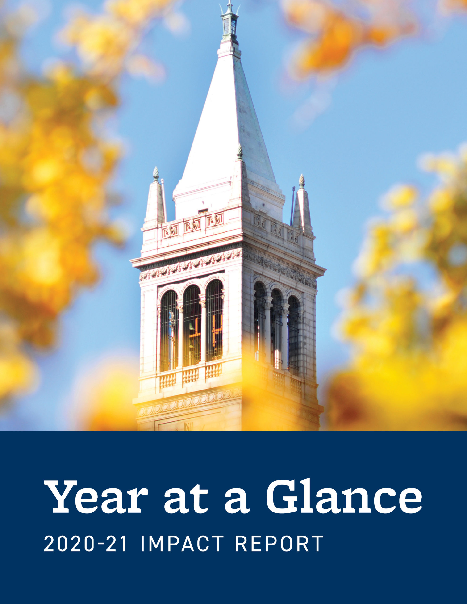 Year at a Glance 2020-21 Impact Report