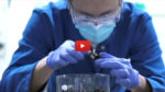 Frame capture from video about making plastics self-destruct