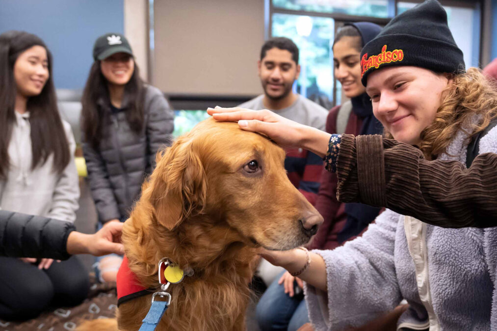 Students petting a dog
