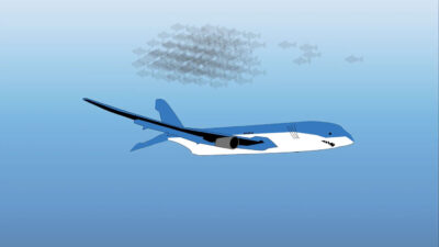 Image of an airplane replicating the aerodynamic nature of mako shark skin.