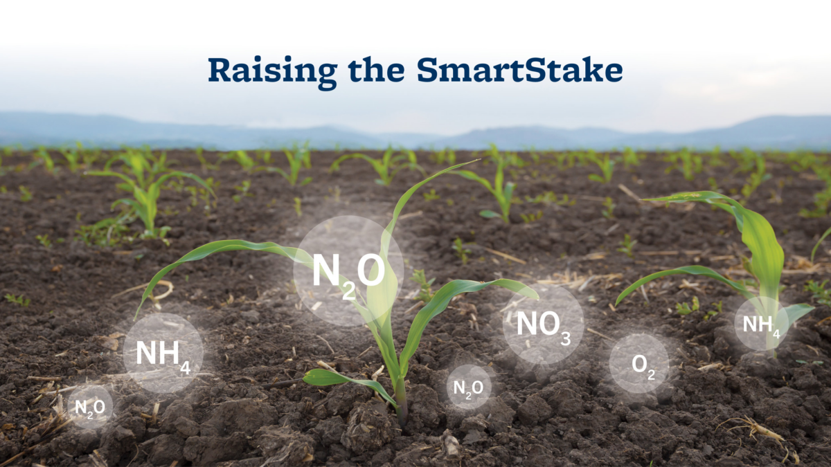 An image of plants sprouting from soil with an overlay of element abbreviations such as "N2O." The headline "Raising the SmartStake" looms in the sky.