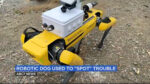 Still image from news video showing Spot, the robotic dog.