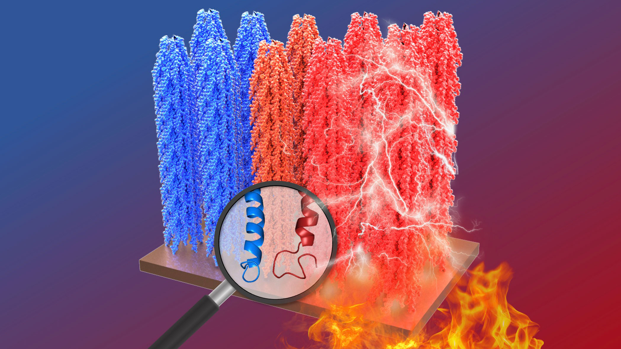 Schematic portraying heat applied to engineered viruses and the electric charge they emit.